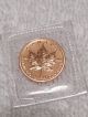 2012 1/10oz Canada Maple Leaf.  999 Fine Gold Coin - From - Gold photo 2