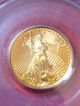 2006 1/4 Oz.  American Eagle $10 Gold Coin Pcgs Ms69 - First Strike :: Fairhouse Gold photo 1