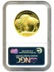 2006 - W American Buffalo $50 Ngc Pr 70 Dcam - 1 Ounce.  999 Gold (first Strike) Gold photo 1