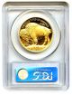 2006 - W American Buffalo $50 Pcgs Proof 70 Dcam - 1 Ounce.  999 Gold Gold photo 1