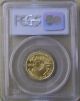 2003 Gold Eagle $10.  00 1/4 Troy Ounce Gold Coin Pcgs Ms69 Gold photo 1