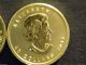 2011canadian Maple Leaf 1oz Gold Bullion Coin.  999.  9 Fine Bu. Gold photo 2