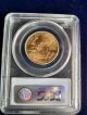 Pcgs Ms69 2004 $25 Gold American Eagle - Gem Bu 1/2 Ounce Of Gold Gold photo 1