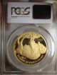 2010 - W Proof 1 Oz Gold American Buffalo Pcgs Certified Pr 70 Dcam Gold photo 2