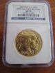 2008 Early Release 1oz.  $50 Gold Buffalo Coin,  Ngc Ms 70 Gold photo 1