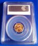 1998 W Pcgs Pr69dcam 1/10oz $5 Am.  Eagle Gold Coin Ultra Cameo Luster Gold photo 2