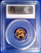 2006 W Pcgs Pr69dcam 1/10oz $5 Am.  Eagle Gold Coin Ultra Cameo Luster Gold photo 2