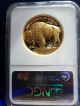 2006 W American Buffalo $50.  9999 Ultra Cameo Gold Coin Ngc Pf 69 Gold photo 1