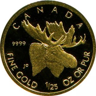 2004 Canada 1/25th Oz.  9999 Fine Gold Proof 50 Cent Wildlife Series The Moose photo
