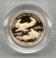 2010 - W American Eagle One - Tenth Ounce Gold Proof Coin - See Scan Brand Usa Gold photo 4