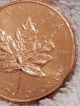 1979 1oz Gold.  999 Fine Canadian Maple Leaf - Gold photo 5