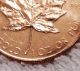 1979 1oz Gold.  999 Fine Canadian Maple Leaf - Gold photo 7
