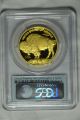 2013 W $50 Proof 1 Oz Gold Buffalo Pcgs Pr70 First Strike Black Diamond Label Gold photo 3