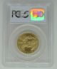 2003 Pcgs Ms69 State Uncirculated Gold Eagle - Half Ozt - $25 Gold Gold photo 1