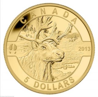 Canada 2013 $5 Caribou.  9999 Gold Coin,  Mintage 4000,  4th In Series,  No Tax photo