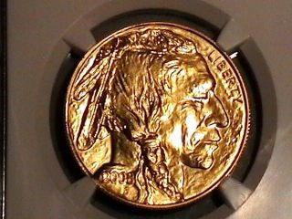 2008 Ngc.  9999 Ms70 1oz American Buffalo $50 Dollar Gold photo