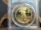 1993 W $50 Proof 1 Oz Us Gold Eagle Pcgs Pr70 Dcam Absolutely Perfect Rare Gold photo 1