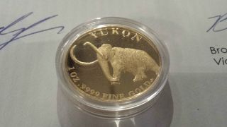 Mammoth Tusk Gold 2008 1 Ounce Oz Pure Ethical Placer Klondike Only 250 Mintage photo