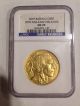 2007 Us $50 Gold Buffalo Ngc Ms 70 Early Releases Gold photo 2