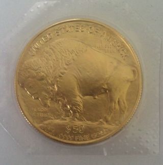 2006 Usa Gold Buffalo photo