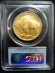 2007 First Strike $50 American Buffalo Pcgs Ms69.  9999 Fine Gold Coin Gold photo 1