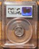 Rare 9/11/01 Pcgs Ms69 2001 Us Platinum Eagle Wtc Recovery Coin L@@k Gold photo 2