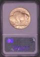 2008 - W Ngc Ms69 1 Oz.  Buffalo $50 Gold Uncirculated Rare One Year Type Coin Gold photo 1