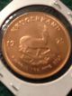 1975 Ch Gem Bu Krugerrand 1 Oz Gold; Not A Mark On Either Side A Real Beauty Gold photo 10