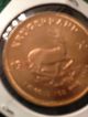 1975 Ch Gem Bu Krugerrand 1 Oz Gold; Not A Mark On Either Side A Real Beauty Gold photo 2