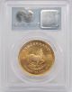1975 South Africa Krugerrand 1 Oz Gold Pcgs Gem Unc Wtc Ground Zero Recovery Gold photo 2
