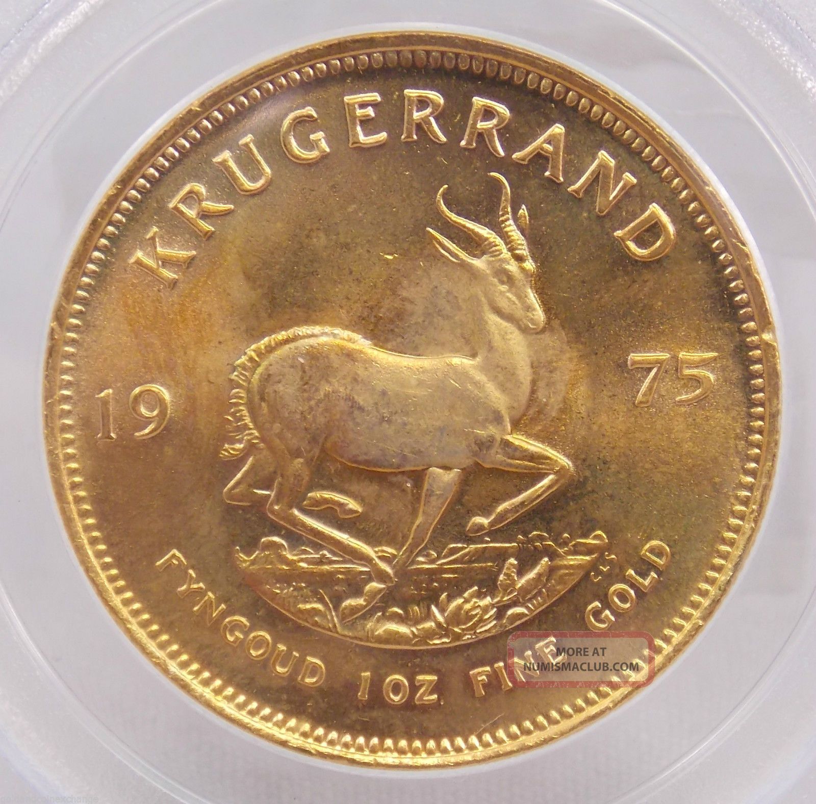 1975 South Africa Krugerrand 1 Oz Gold Pcgs Gem Unc Wtc Ground Zero 1975-south-africa-krugerrand-1-oz-gold-pcgs-gem-unc-wtc-ground-zero
