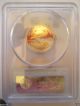 1999 - W $10 Pcgs Pr69dcam 1/4 Oz,  Gold American Eagle Gold photo 1
