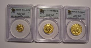 2008 - W American Buffalo Gold $5,  $10,  & $25 Pcgs Ms70 Black Diamond photo