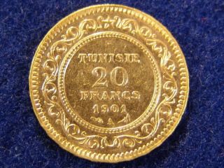Tunisia 1901 20 Franc Gold Coin Minted Paris,  France.  Only 150,  000 Minted.  Rare photo