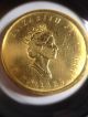 Mapleleaf $50 1991 Ounce Gold Coin Gold photo 1