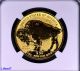 2013 W $50 Gold Buffalo Reverse Ngc Pf70 Er Blue Label Gold photo 4