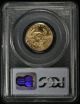 2003 Pcgs Ms69 10 Dollar American Gold Eagle Ncn498 Gold photo 1