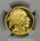 2008 W $10 Gold Buffalo Ngc Pf70 First Year Of Issue Label Gold photo 3