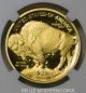 2008 W $25 Gold Buffalo Ngc Pf70 First Year Of Issue Label Gold photo 3