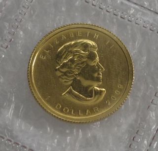 2009 Canada Gold $1 Dollar Maple Leaf 1/20 Oz.  Proof Cameo Low Mintage photo