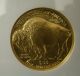 2010 $50 American Buffalo Ngc Ms70.  9999 Fine Gold Coin Gold photo 2