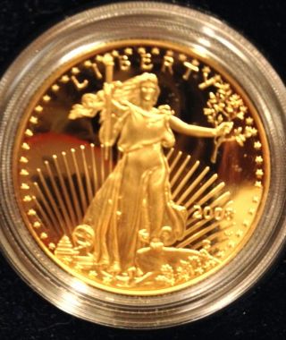 2008 W American Eagle 1 Ounce Gold Proof With photo