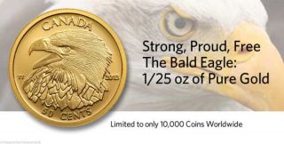 Canada 2013 Bald Eagle 1/25 Oz.  Fine.  9999 Gold Coin - Mintage 10,  000 - No Tax photo