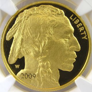 2009 - W $50 Gold Buffalo Pr70 Ucam Ngc Certified Incredible Eye Appeal photo