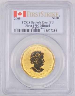 2008 Canada.  99999 Gold Maple Leaf 1 Oz Coin Pcgs Gem Bu First Strike photo