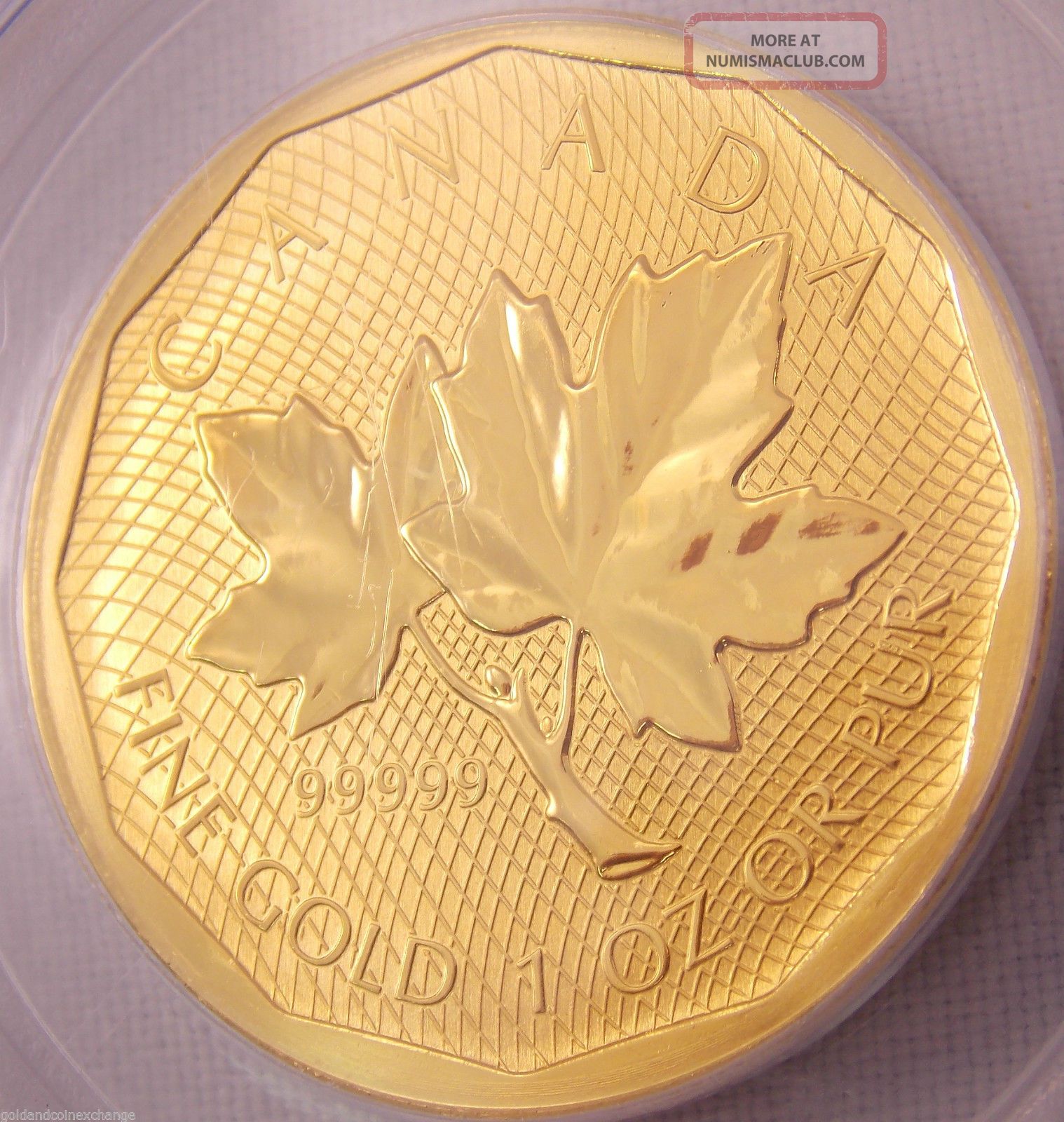 2008 Canada. 99999 Gold Maple Leaf 1 Oz Coin Pcgs Gem Bu First Strike