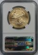 2009 American Gold Eagle $50 One - Ounce Ms 69 Ngc Gold photo 1