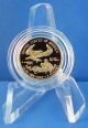 2013 W American Eagle $5 Gold Proof 1/10 Troy Oz Gold Coin Gift Case & Gold photo 3