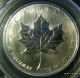 2005 $50 Canada Palladium Maple Leaf Bullion - Pcgs Ms66 1st Year Of Issue Coins: Canada photo 1