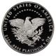 2005 - W Platinum Eagle $100 Pcgs Proof 69 Dcam Statue Liberty 1 Oz Platinum photo 3